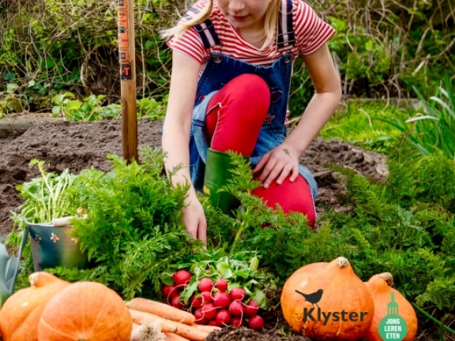 Miss Pumpkin - nij projekt fan De Klyster